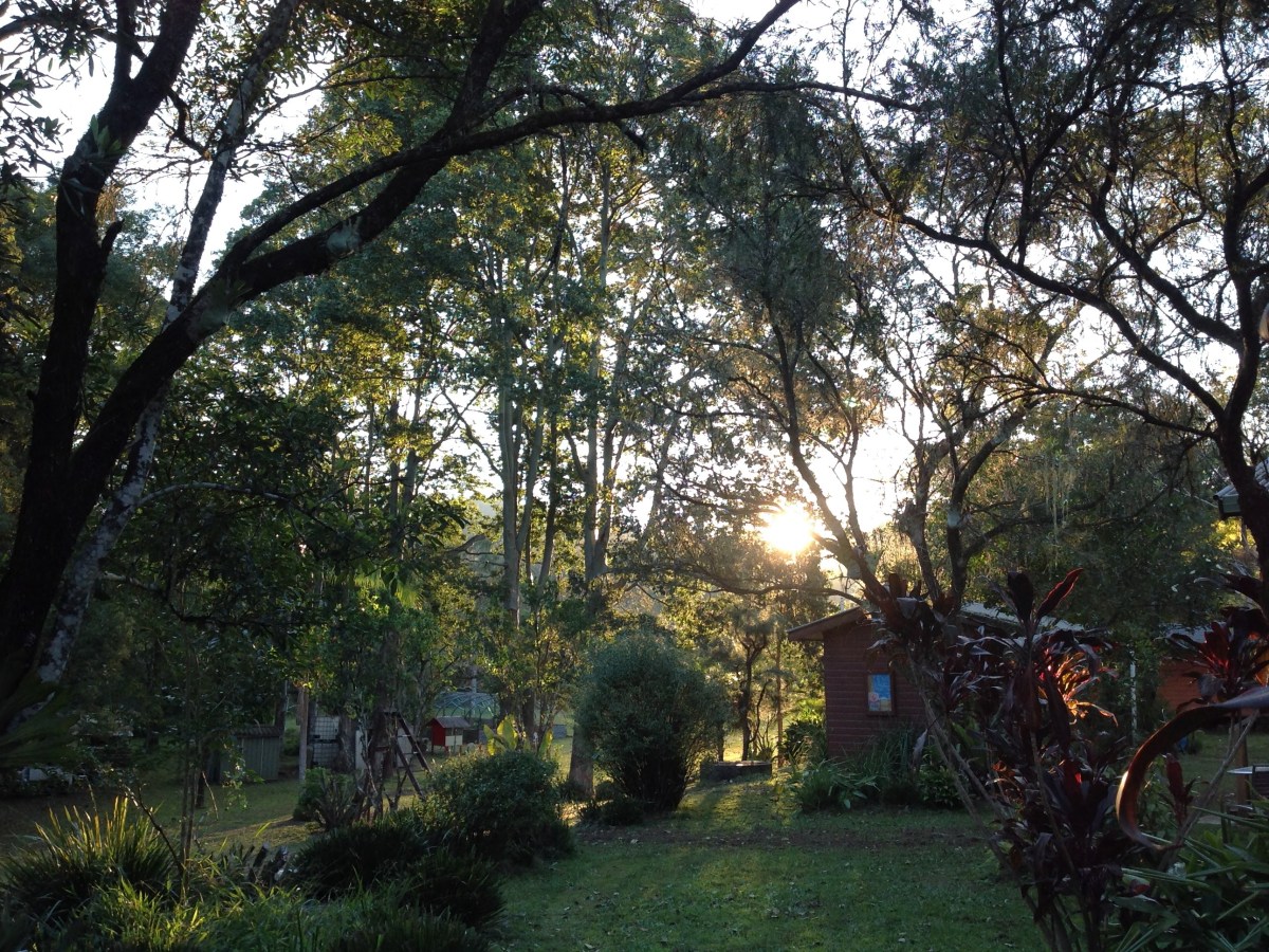 Loopholes for Shepherds