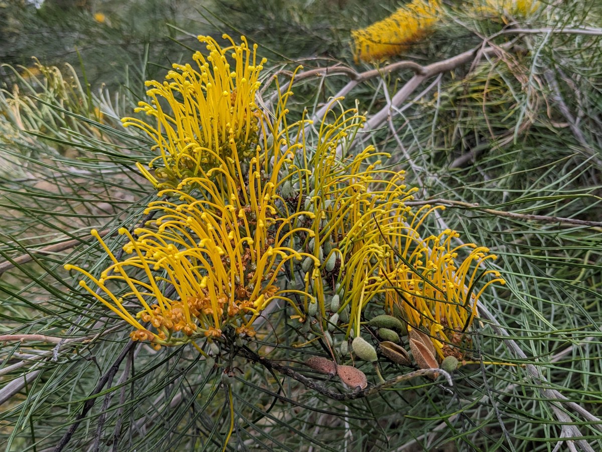 Anger – the&nbsp;energy