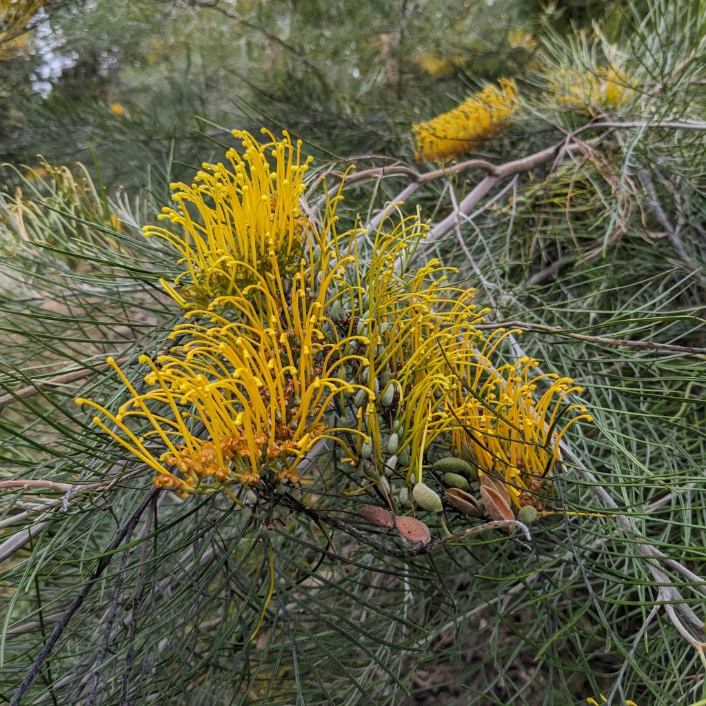 Anger – the&nbsp;energy